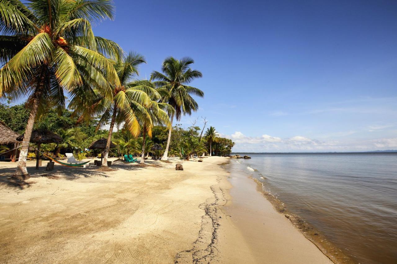 Villa Caribe Lívingston Екстериор снимка